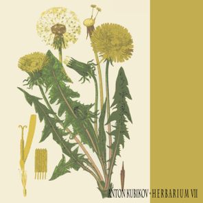 Anton Kubikov – Herbarium VII