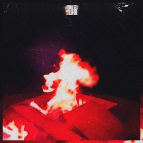 FUZION, Zeli – WILDFIRE