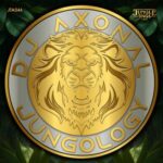 Dj Axonal – Jungology