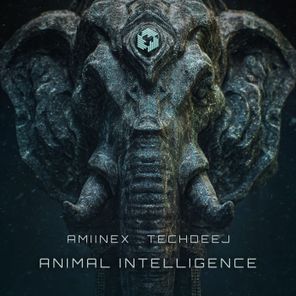 TechDeeJ, Amiinex – Animal Intelligence