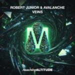 Robert Junior, AvAlanche – Veins