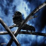Lostlojic – Alternativ