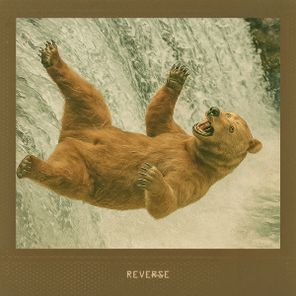 There Is No One But Me, Agency – REVERSE