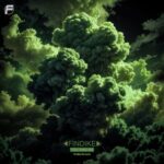 Findike – You and Me