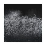 More Influenza – Drama