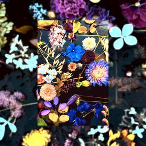 YOLA, Rockin Moroccin – She Is Love (Rockin Moroccin Remix)