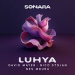 David Mayer, Nico Stojan – Luhya