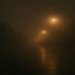 Mr. Lady – Dusty Night