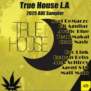 Alek Soltirov, Doc Link – ADE Sampler – True House Classics