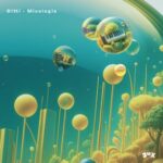 Ditti – Mixologie