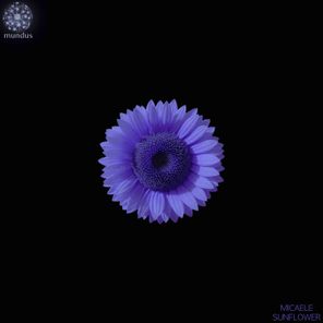 Micaele – Sunflower