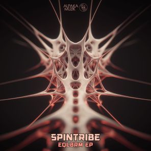 Spintribe – EQLBRM