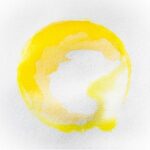 Piante Vive – Bamboo