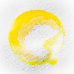 Piante Vive – Bamboo