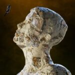 Michael A – Nexora