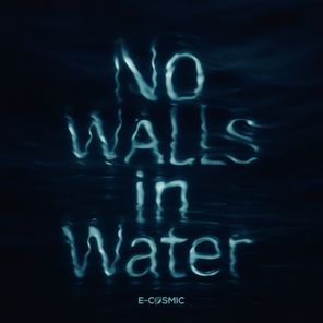 E-COSMIC – No Walls in Water