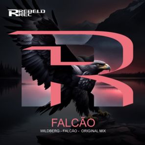 Wildberg – Falcão