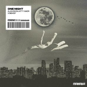 Alan Dixon, Biishop – One Night