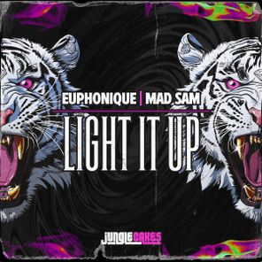 Euphonique, Mad Sam – Light It Up