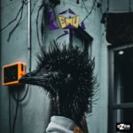 Flaps – Emu