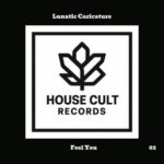 Lunatic Caricature – Feel You