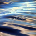 DP-6 – Impassive