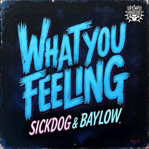 Baylow, SICKDOG – What You Feeling