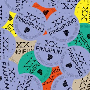 Museum Of No Art, Peter Power – XX, Pingipung. a Record Label Turns 20