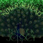 NjHouseHead, Jackvl The Protege – Peacock In Jersey