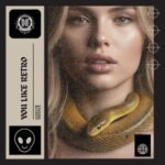 Gosize – You Like Retro