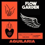 Aguilaria – La Magia