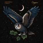 Artic White – Cobalto