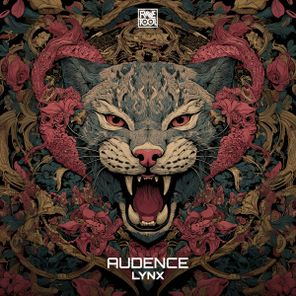 Audence – Lynx