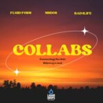 Fluid Form, MSDOS – The Collabs