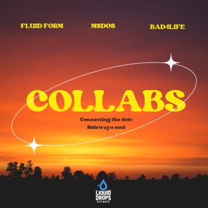 Fluid Form, MSDOS – The Collabs