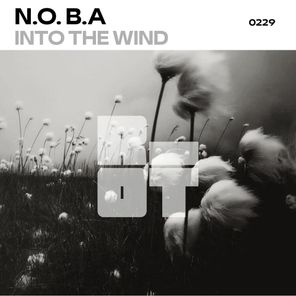N.O.B.A – Into the Wind