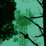 Ascensius – The Jungle