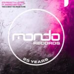 DT8 Project, Lustral – This Is What You Mean To Me