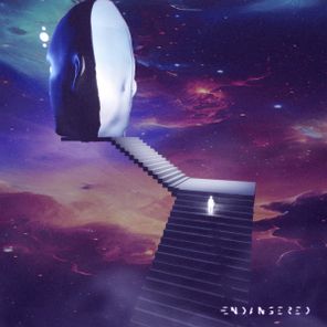 Brian Cid – Observe / Immerse In The Sound