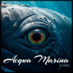 Toffee Sound - Acqua Marina 1 Toffee Sound – Acqua Marina