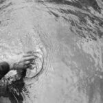 Alighted – Drift