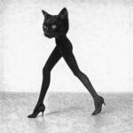 WIMM – Meow