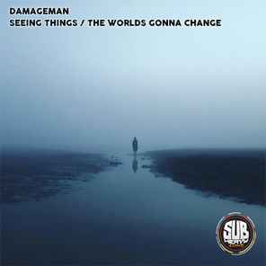 Damageman – Seeing things / The worlds gonna change