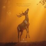 Dole & Kom, Bodaishin – Peace on Earth