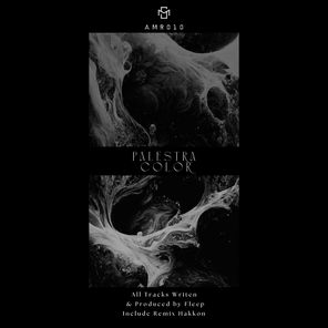 Fleep – Palestra Color