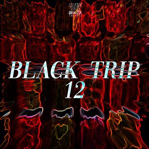 Drumcomplex, Format:B – Black Trip 12