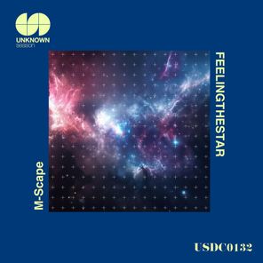 Shaun Ashby, M-Scape – Feeling the Star