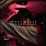 Will Fast, Mark Vox – Funky House Groove 2025