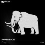 Punk Rock – Copy