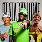 Vandre De Deejay, SJOVI – Dlala Malume